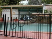 Pool Fence